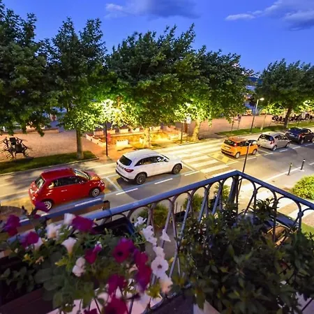 Apartamento Camelia *