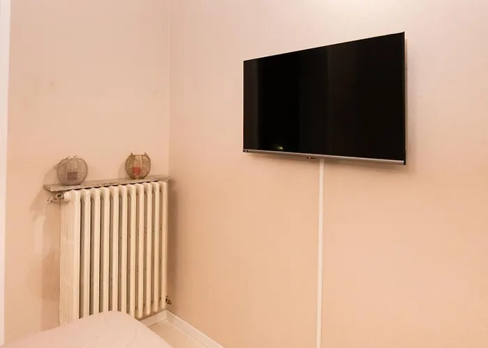 Camelia * أرونا